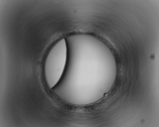 X0000103430738200809121036