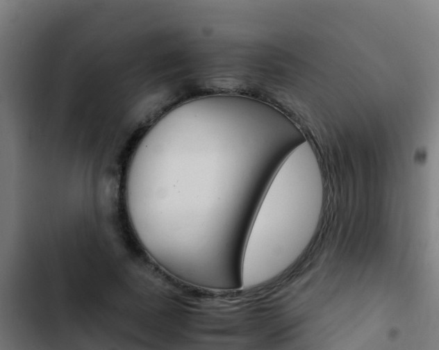 X0000103430739200809121036