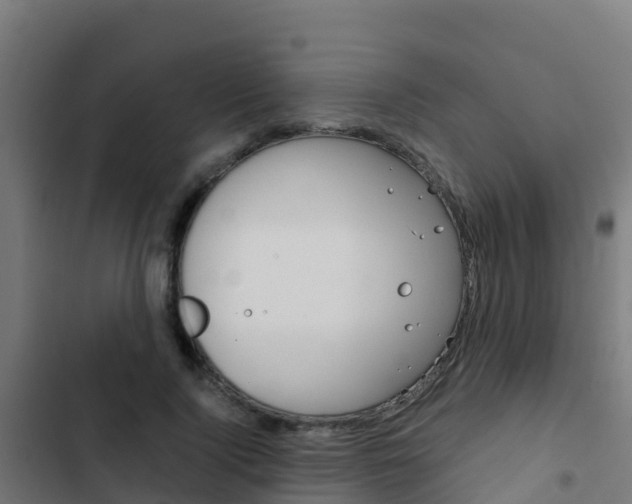 X0000103430740200809121036