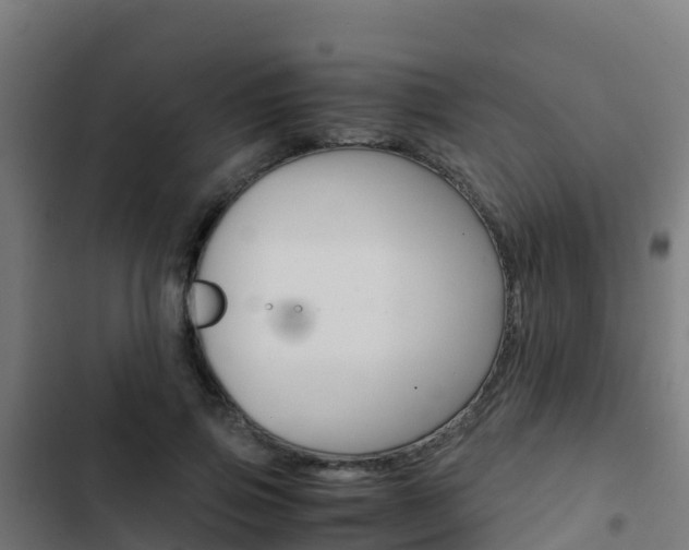 X0000103430741200809121036