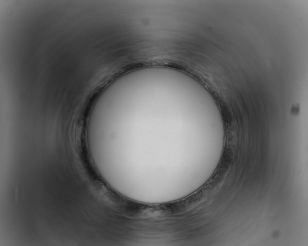 X0000103430742200809121036