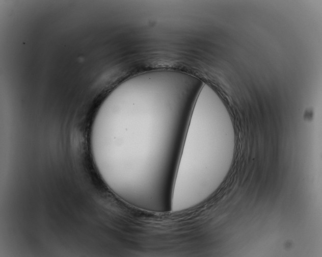 X0000103430743200809121036