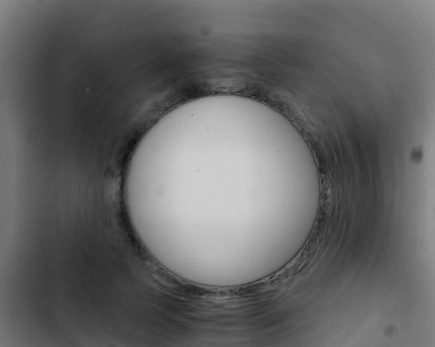 X0000103430745200809121036