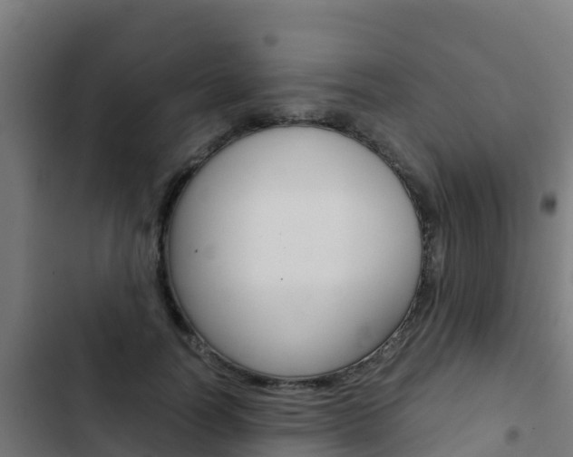 X0000103430746200809121036