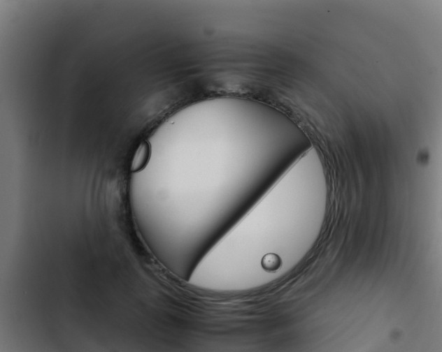 X0000103430747200809121036
