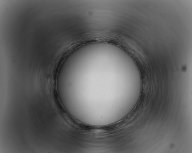 X0000103430748200809121036