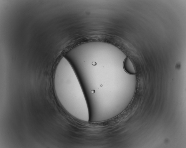 X0000103430751200809121036