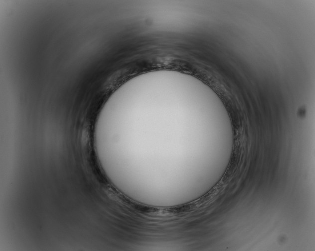 X0000103430754200809121036