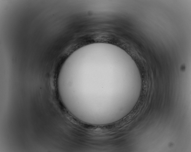 X0000103430755200809121036