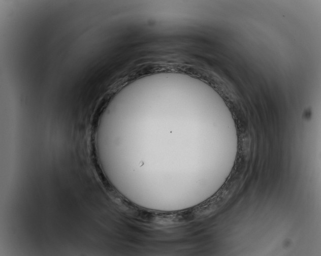 X0000103430757200809121036