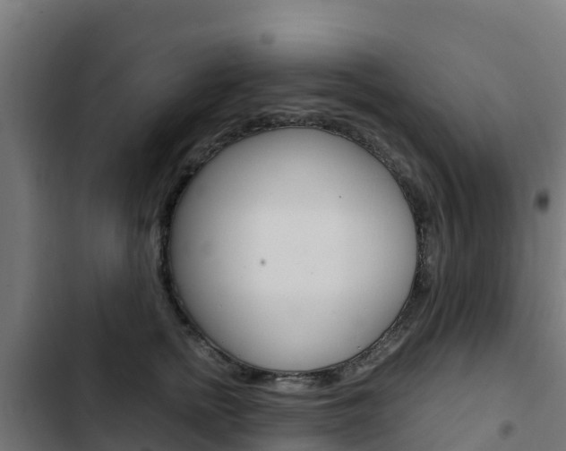 X0000103430758200809121036