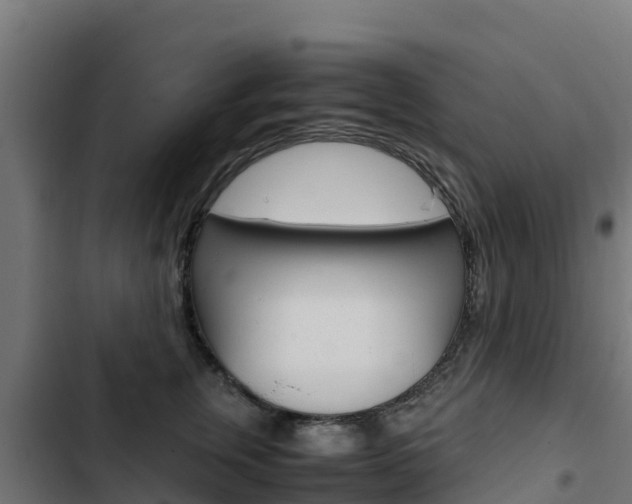 X0000103430759200809121036
