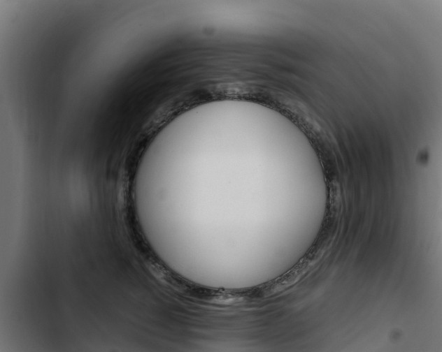 X0000103430760200809121036