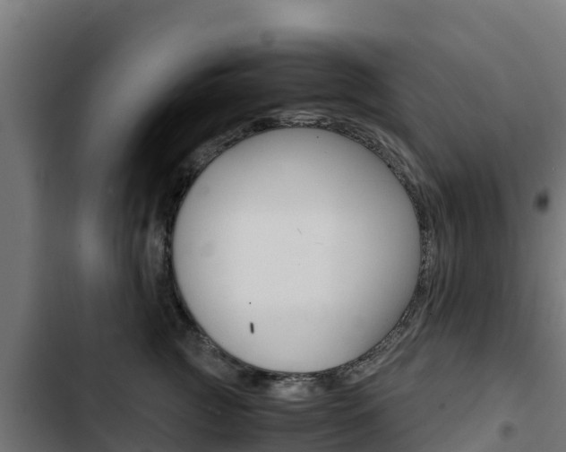 X0000103430761200809121037