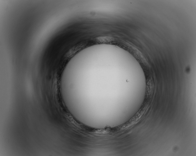 X0000103430762200809121037