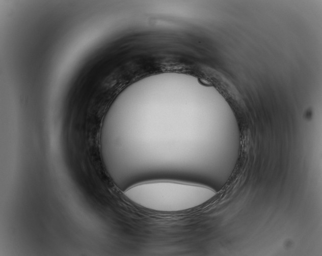 X0000103430763200809121037