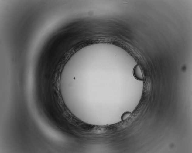X0000103430764200809121037