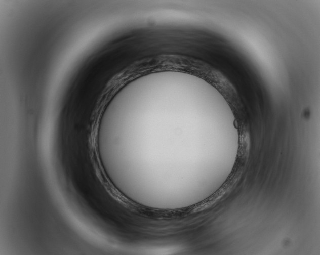 X0000103430765200809121037