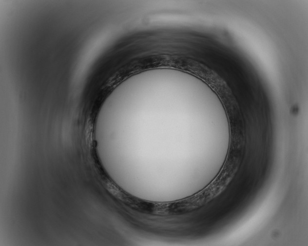 X0000103430766200809121037