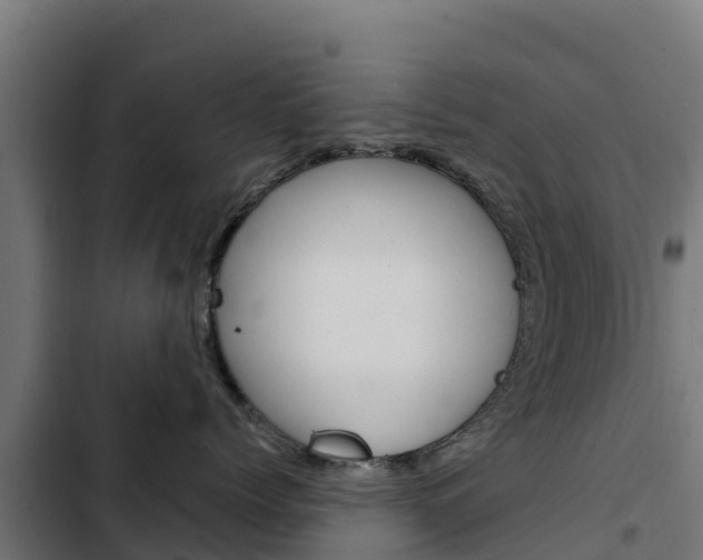X0000103430768200809121037