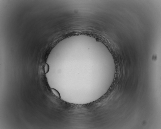 X0000103430770200809121036
