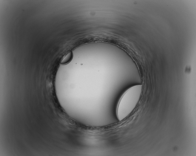 X0000103430771200809121036