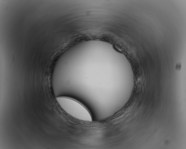 X0000103430772200809121036