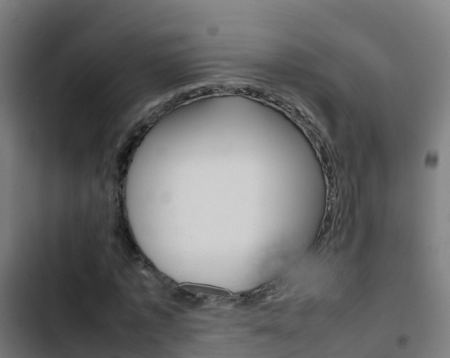 X0000103430773200809121036