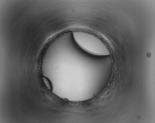 X0000103430775200809121036