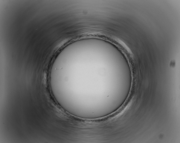 X0000103430777200809121036