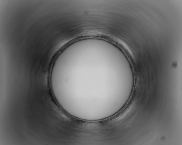 X0000103430778200809121036
