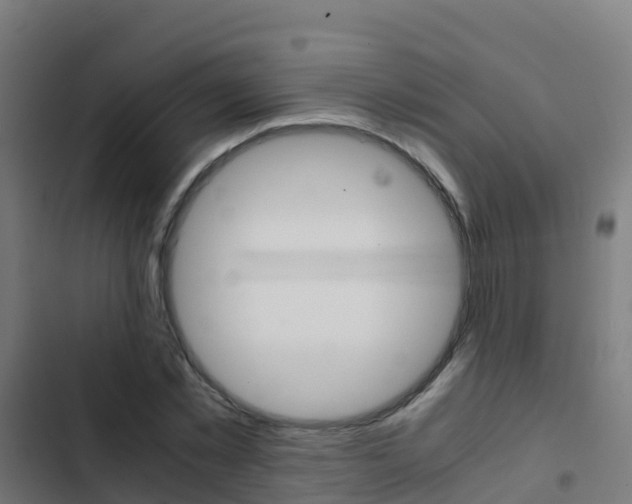 X0000103430781200809121036
