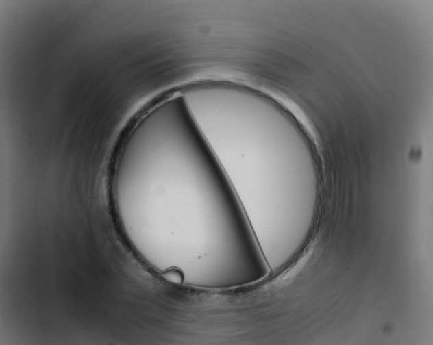 X0000103430783200809121036
