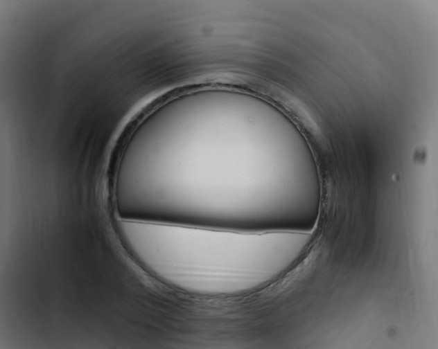 X0000103430784200809121036