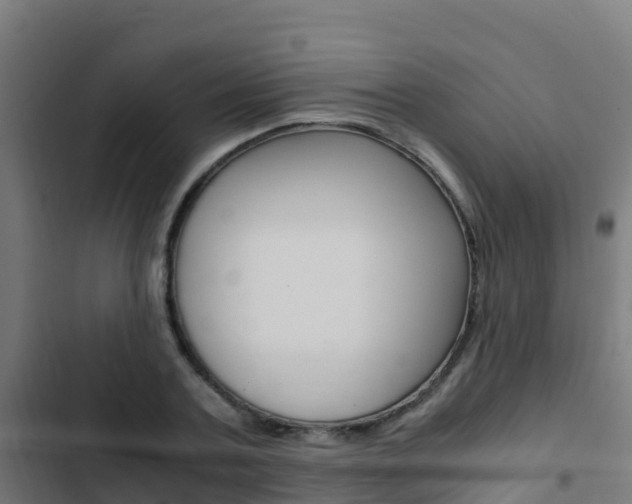 X0000103430787200809121036
