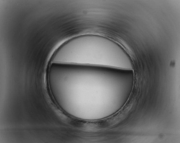 X0000103430788200809121036