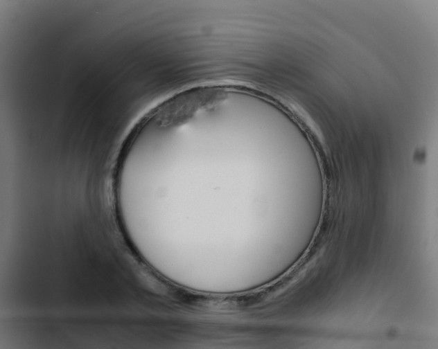 X0000103430789200809121036
