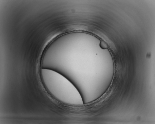 X0000103430790200809121036