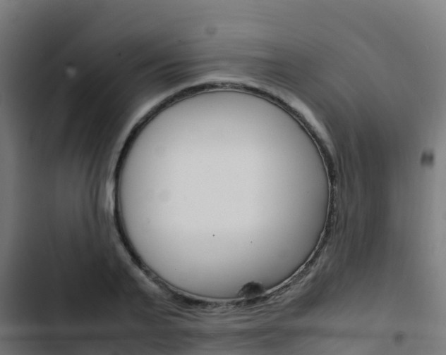 X0000103430791200809121036