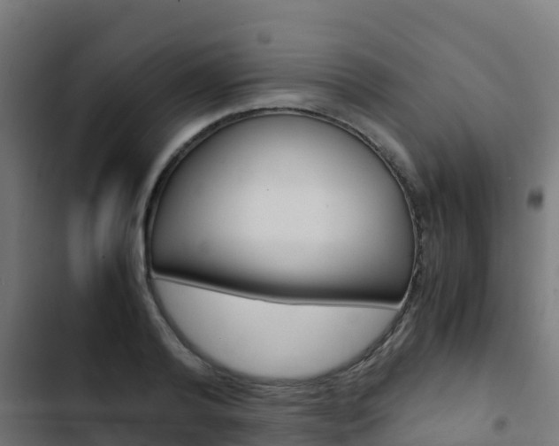 X0000103430792200809121036