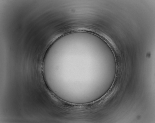 X0000103430793200809121036