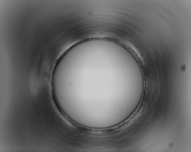 X0000103430794200809121036