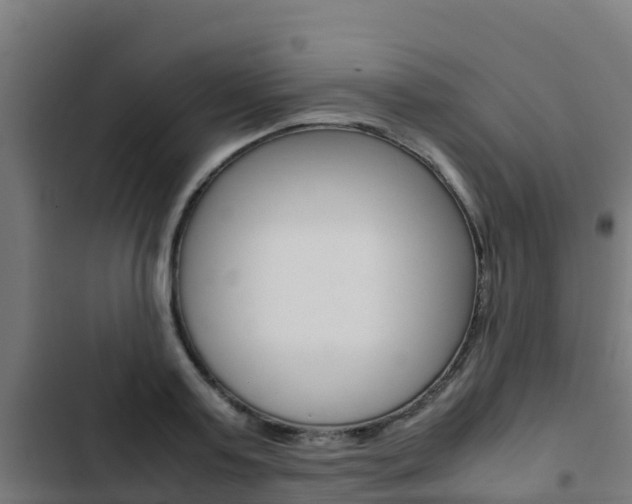 X0000103430795200809121036