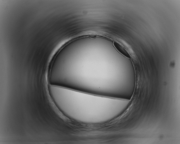 X0000103430796200809121036