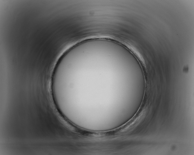 X0000103430797200809121036