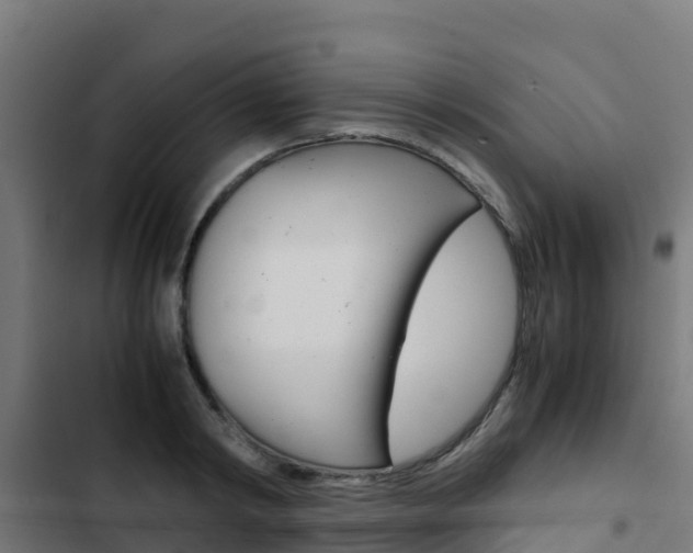 X0000103430798200809121036