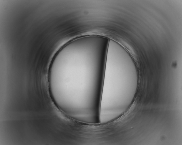 X0000103430800200809121036
