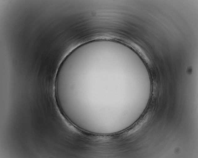 X0000103430802200809121035