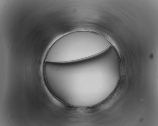 X0000103430803200809121035
