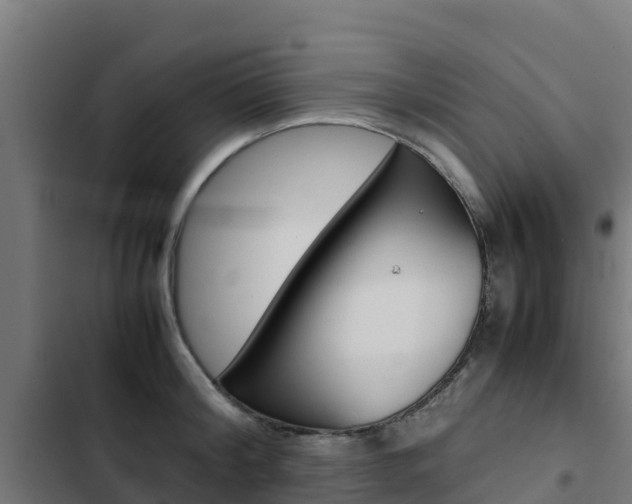 X0000103430804200809121035